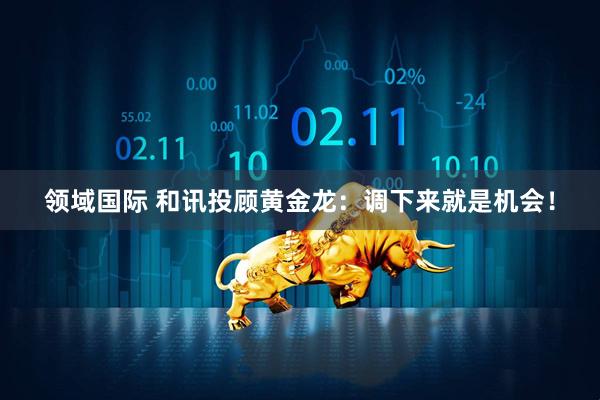 领域国际 和讯投顾黄金龙：调下来就是机会！