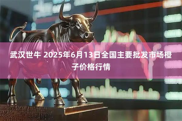 武汉世牛 2025年6月13日全国主要批发市场橙子价格行情
