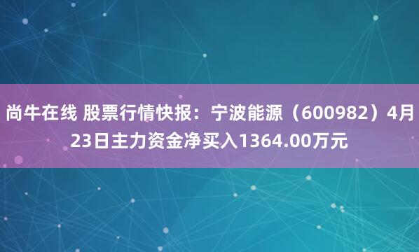 尚牛在线 股票行情快报：宁波能源（600982）4月23日主力资金净买入1364.00万元